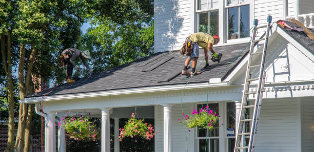 Roof Gutter Cleaning in Westland, MI